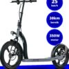 MS Energy R10 - Hybride Elektrische Step - Grote Wielen - Vouwbaar - 25 Km/h - 350W Motor - 36V Batterij -Fietswereld Verkoop 1030x1200 5