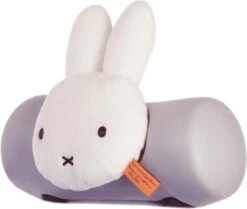 Slaaprol Yepp Nijntje 13 Slaaprol Yepp Nijntje -Fietswereld Verkoop 1200x1016 2