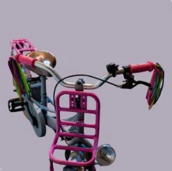Entergoods® Stuurslingers - Fiets Versiering Kinderen - Stuurversiering Slingers - Handvat Streamers Voor Meisjes - Streamers Voor Jongens - Paars Groen Roze Franjes - 2 Stuks - 24 CM - Stuurslingers Voor Kinderfiets -Fietswereld Verkoop 1200x1193 1