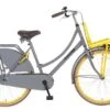 Popal Daily Dutch Basic Season - 26 Inch - Meisjesfiets - Transport - Grijs Geel -Fietswereld Verkoop 1200x788 3
