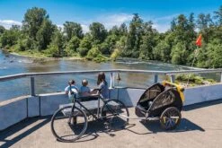 Burley Bee Double Kinderfietskar - Twee Kinderen 23 Burley Bee Double Kinderfietskar - Twee Kinderen -Fietswereld Verkoop 1200x800 144