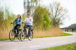 Amigo E-Vibe D1 - Elektrische Stadsfiets Voor Heren - Met 7 Versnellingen - Matgrijs -Fietswereld Verkoop 1200x800 26
