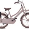Valetta Cargo - Transportfiets - Meisjesfiets - 20 Inch - Mat Flamingo -Fietswereld Verkoop 1200x821