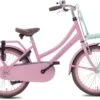 Valetta Cargo - Transportfiets - Meisjesfiets - 20 Inch - Mint Roze -Fietswereld Verkoop 1200x833