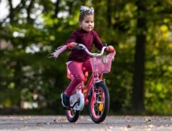 Amigo Magic Meisjesfiets - Kinderfiets 12 Inch - Roze -Fietswereld Verkoop 1200x917 14