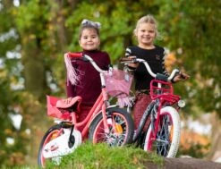 Amigo Magic Meisjesfiets - Kinderfiets 12 Inch - Wit 16 Amigo Magic Meisjesfiets - Kinderfiets 12 Inch - Wit -Fietswereld Verkoop 1200x917