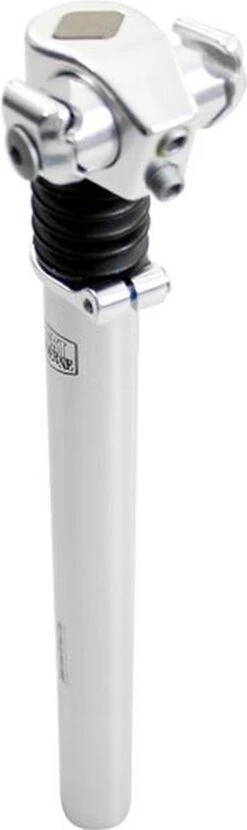 Zadelpen Verend 27,2 X 310 Mm Aluminium Zilver 14 Zadelpen Verend 27,2 X 310 Mm Aluminium Zilver -Fietswereld Verkoop 357x1200