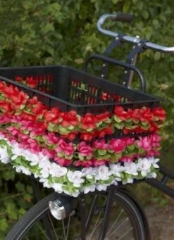 Basil Flower Garland Bloemenstreng - Wit -Fietswereld Verkoop 870x1200 1