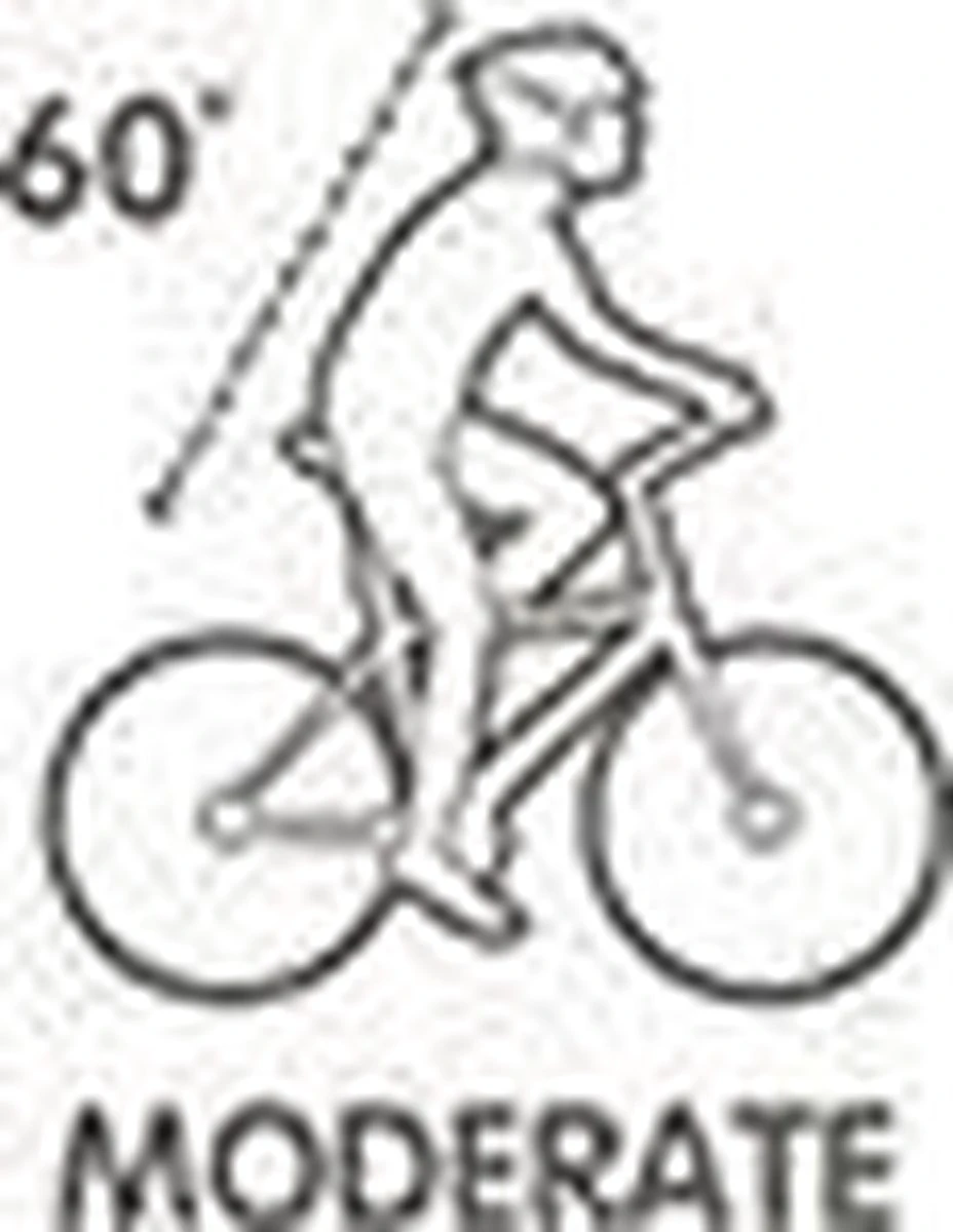 Selle Royal Avenue Moderate 8466 - Fietszadel - Gel - Zwart 19 Selle Royal Avenue Moderate 8466 - Fietszadel - Gel - Zwart - Afbeelding 17